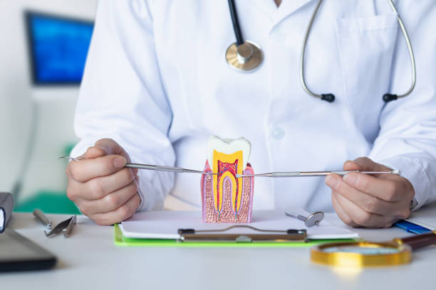 Best Emergency Tooth Extraction in Cherry Brah, NC